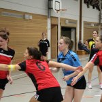 2016_01_23 Landesliga Frauen